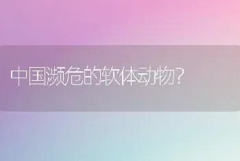 中国濒危的软体动物？