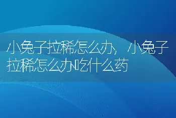 小兔子拉稀怎么办，小兔子拉稀怎么办吃什么药