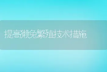 提高獭兔繁殖技术措施