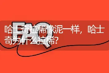 哈士奇拉稀像泥一样，哈士奇为什么拉稀？