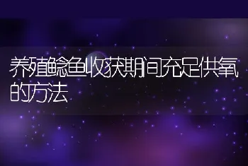 今年冬季天气与零七年相似罗非鱼养殖更须加强管理