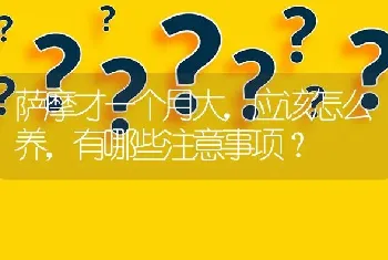 萨摩才一个月大，应该怎么养，有哪些注意事项？