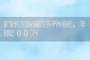 扔掉铁饭碗回乡养蝇蛆，年赚200万