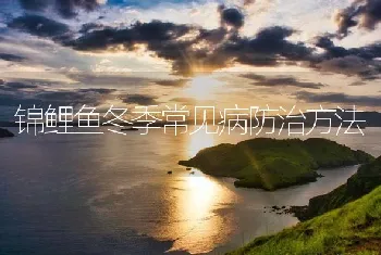 锦鲤鱼冬季常见病防治方法