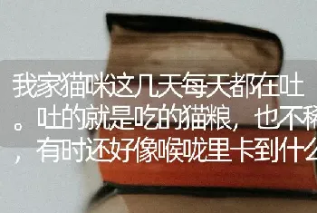 我家猫咪这几天每天都在吐。吐的就是吃的猫粮，也不稀，有时还好像喉咙里卡到什么东西一样，一直齁气。估？