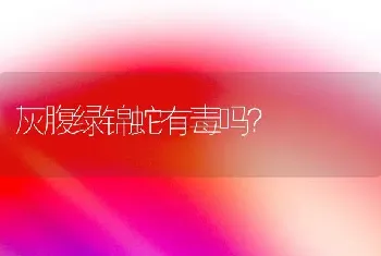 柯基的短尾巴如何形容？