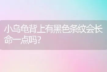 小乌龟背上有黑色条纹会长命一点吗？