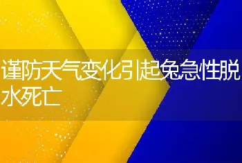 谨防天气变化引起兔急性脱水死亡