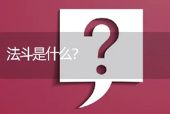 法斗是什么？