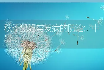 秋季狐貉常发病的防治:中暑