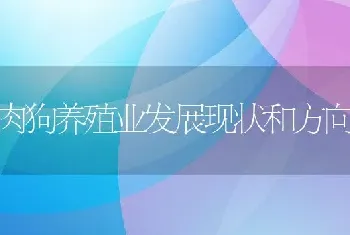 肉狗养殖业发展现状和方向