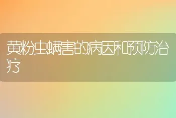 黄粉虫螨害的病因和预防治疗