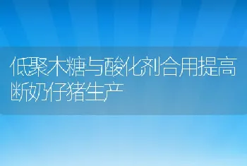 低聚木糖与酸化剂合用提高断奶仔猪生产