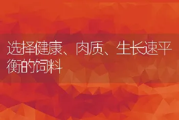 选择健康、肉质、生长速平衡的饲料