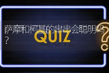 萨摩和柯基的串串会聪明吗？