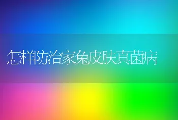 怎样防治家兔皮肤真菌病