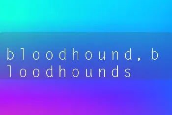 bloodhound，bloodhounds