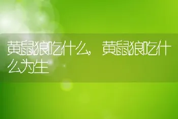 黄鼠狼吃什么，黄鼠狼吃什么为生