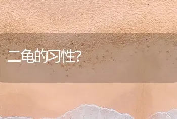 二龟的习性？