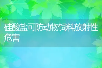 硅酸盐可防动物饲料放射性危害