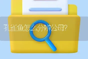 孔雀鱼怎么分辨公母？