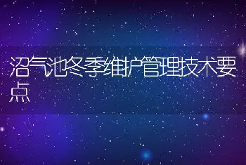 沼气池冬季维护管理技术要点