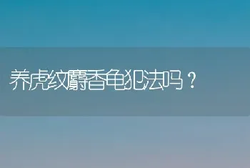 养虎纹麝香龟犯法吗？