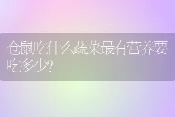 仓鼠吃什么蔬菜最有营养要吃多少？