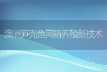 澳洲笋壳鱼网箱养殖新技术