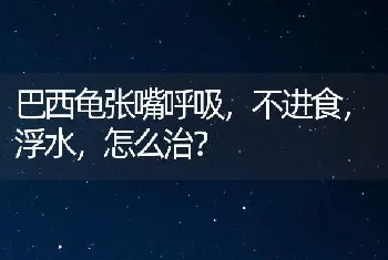 巴西龟张嘴呼吸，不进食，浮水，怎么治？