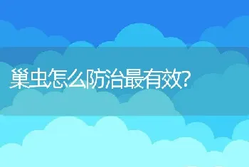 巢虫怎么防治最有效？