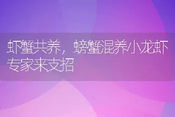 虾蟹共养，螃蟹混养小龙虾专家来支招