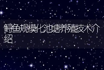 鲟鱼规模化池塘养殖技术介绍