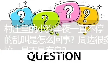 村庄里的小狗半夜一直不停的乱叫是怎么回事？周边很多坟，是不是有鬼？