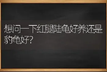 想问一下红腿陆龟好养还是豹龟好？