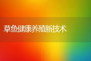 草鱼健康养殖新技术