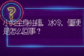 小狗全身抽搐，冰冷，僵硬是怎么回事？