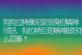 狗狗拉稀像泥浆很臭但精神很好，狗拉稀但是精神挺好怎么回事？