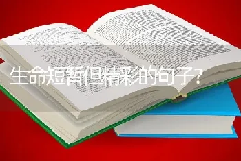 生命短暂但精彩的句子？