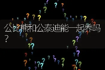 公比熊和公泰迪能一起养吗？