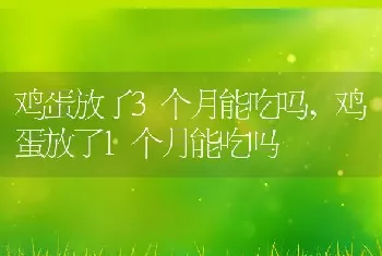 鸡蛋放了3个月能吃吗，鸡蛋放了1个月能吃吗