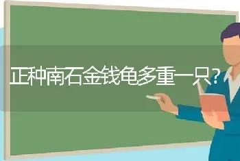 为什么我家的布偶猫毛不长？