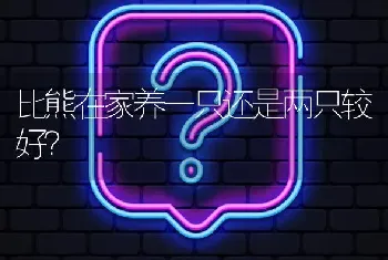 比熊在家养一只还是两只较好？