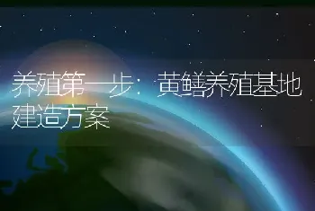 养殖第一步：黄鳝养殖基地建造方案