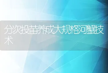 分次投苗养成大规格河蟹技术