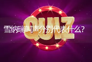 雪纳瑞叫声分别代表什么？