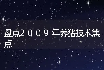 盘点2009年养猪技术焦点