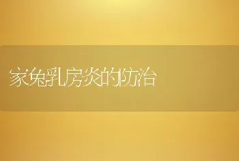 家兔乳房炎的防治