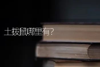 雪纳瑞有尾巴会遗传么？