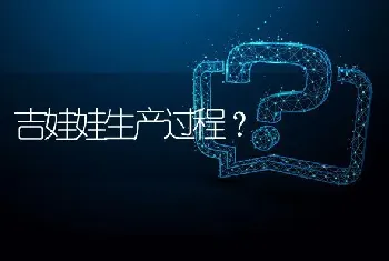 吉娃娃生产过程？